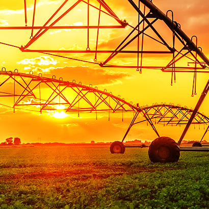 Сельское хозяйство